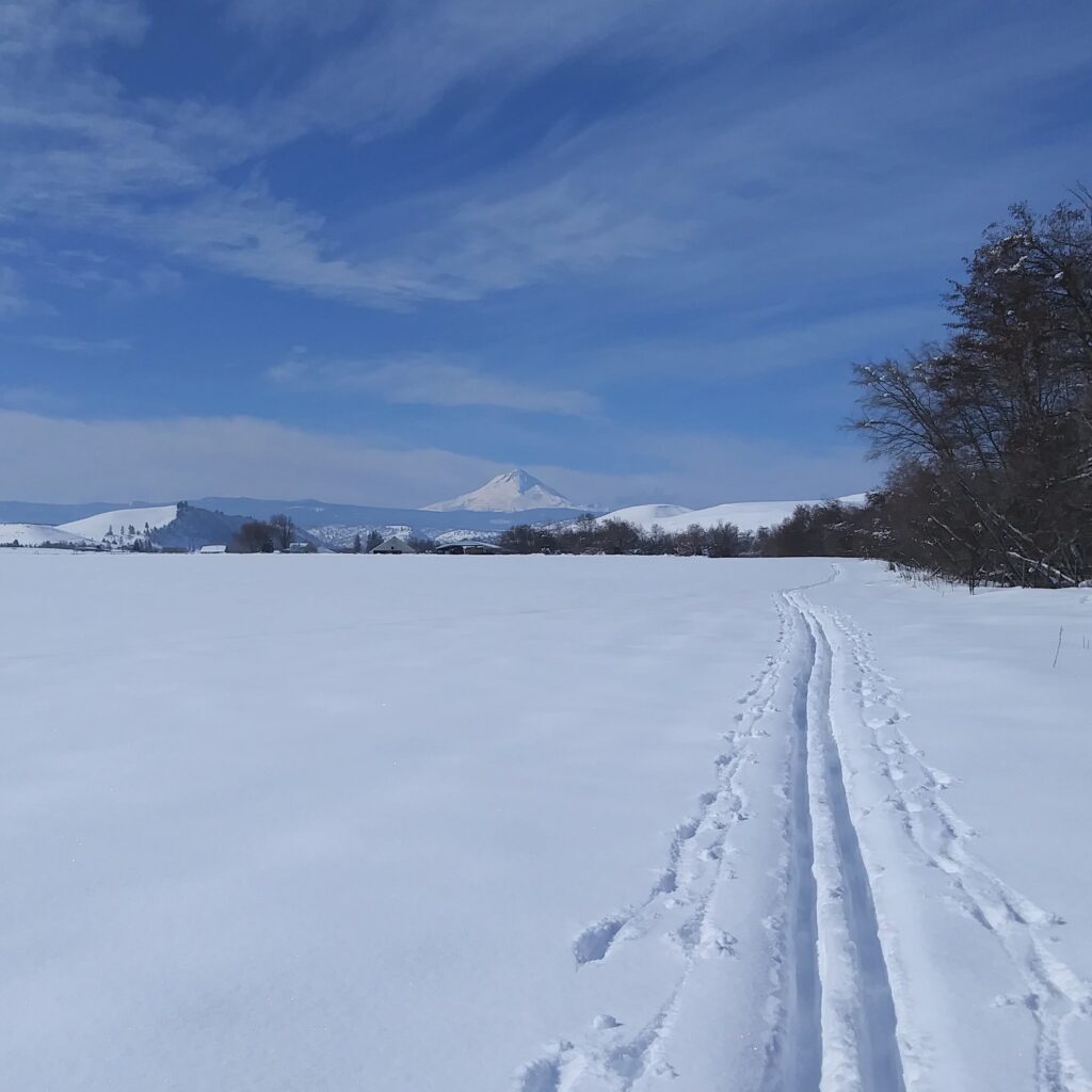 Remembering To Align Magdalene Path