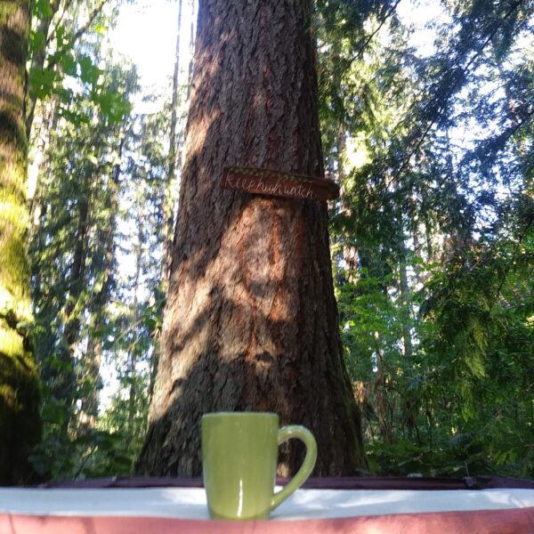 cup and tree